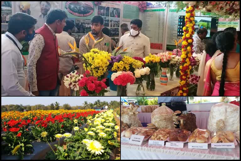 ಐದು ದಿನಗಳ ತೋಟಗಾರಿಕಾ ಮೇಳಕ್ಕೆ ಚಾಲನೆ