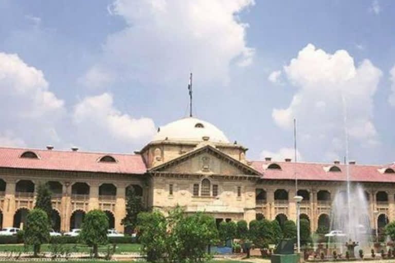 allahabad high court