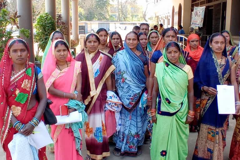 women asked the collector for the wages of tree guards