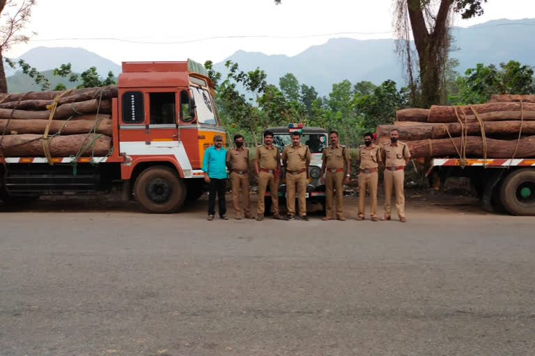 timber worth rs 20 lakh seized  ഈട്ടിത്തടി പിടിച്ചടുത്തു  20 ലക്ഷം രൂപയുടെ ഈട്ടിത്തടി  മുട്ടിൽ സൗത്ത് വില്ലേജ്  മേപ്പാടി റേഞ്ച് ഓഫീസർ