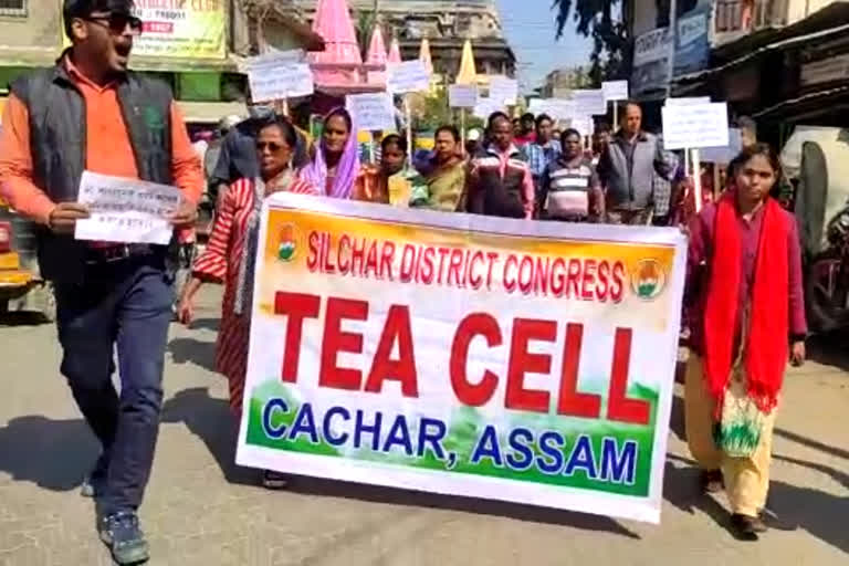 massive-protest-by-congress-at-silchar