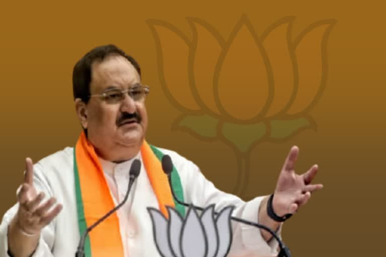 bjp national president jp nadda