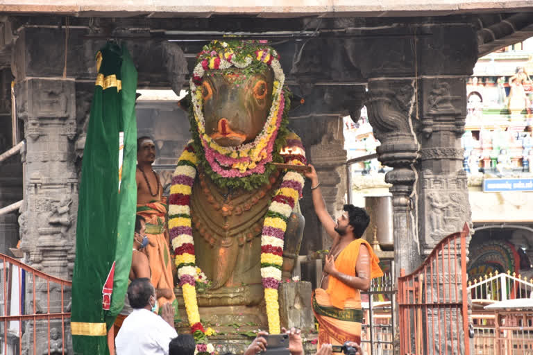 Pradosa worship at the Annamalaiyar Temple in Thiruvannamalai