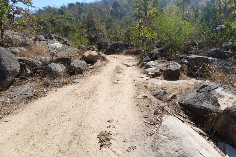 built 4 km road in kanker