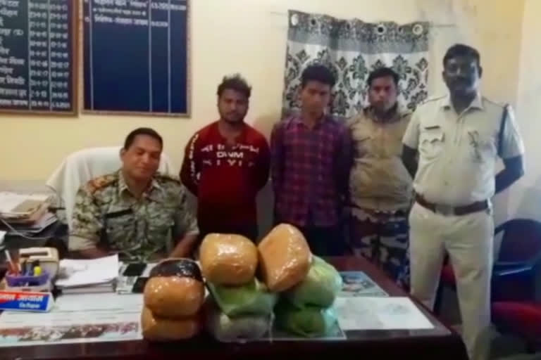 Two accused arrested for smuggling hemp in jashpur