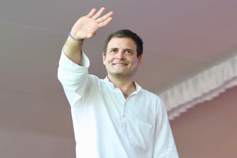 राहुल गांधी, Rahul Gandhi