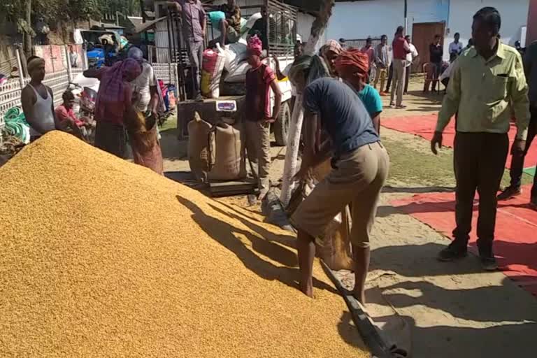 ডিব্ৰুগড়ত মুকলি ধান ক্ৰয় কেন্দ্ৰ