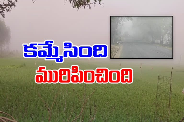 The rural district of Warangal was engulfed in thick fog and snow