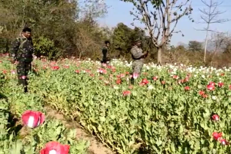 Campaign against illegal farming in Ranchi