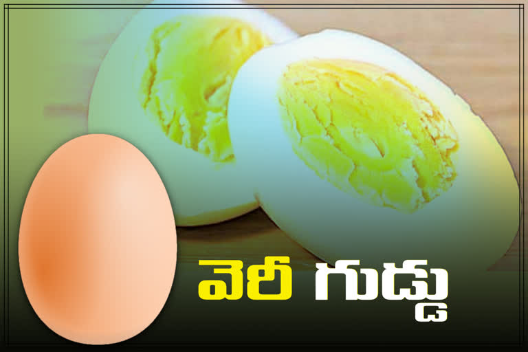 benefits of egg in telugu