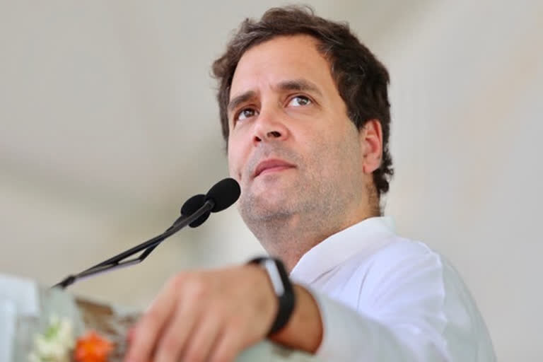 rahul gandhi visits rajasthan on february 13 preparations begin for public meeting in rupnagar