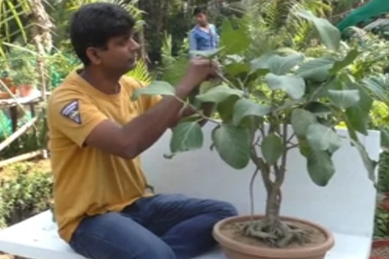 Electrical engineer sets up nursery