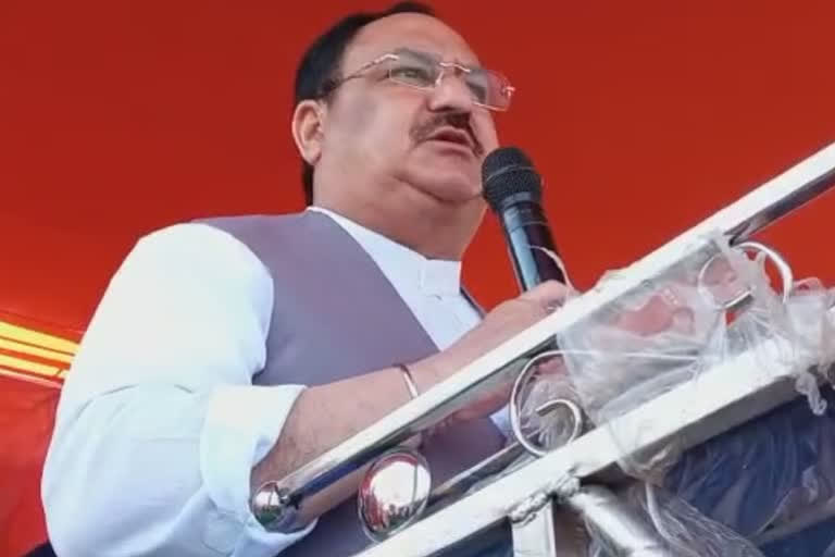 JP Nadda: Development only possible when Mamata leaves, lotus blooms in West Bengal