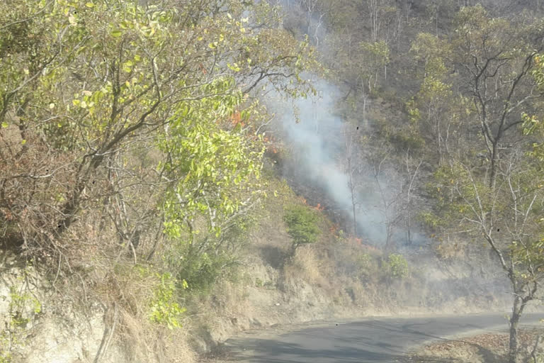 Srinagar Pandula Band forests in fire