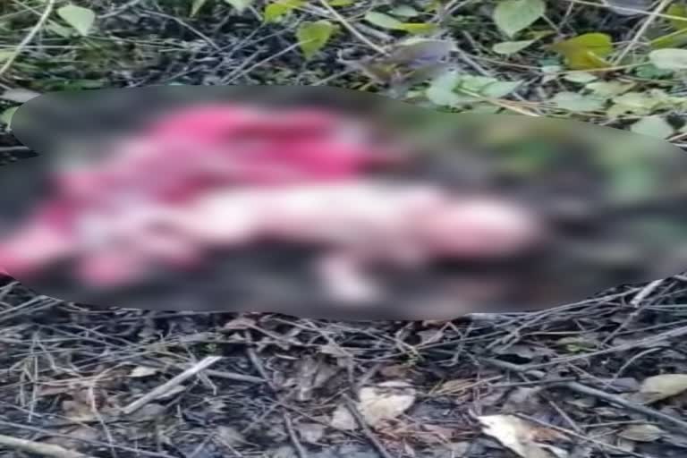 newborns-body-found-in-bushes-in-chamba