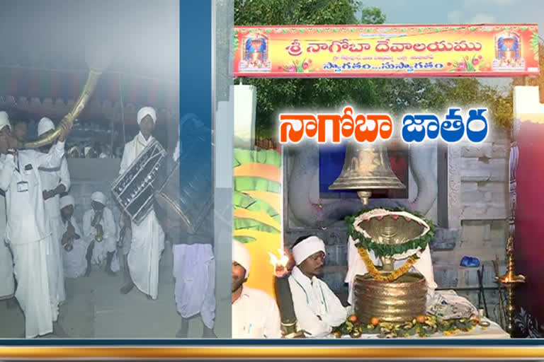 nagoba jathara starts from today night inn Adilabad