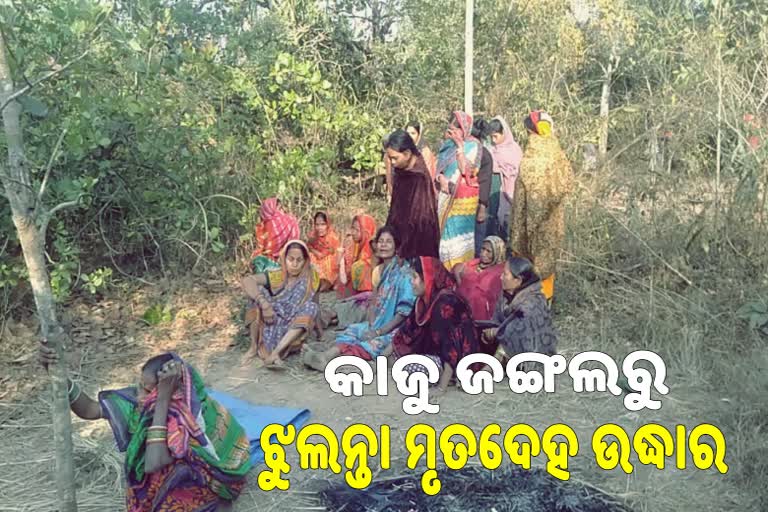 କାଜୁ ଜଙ୍ଗଲରୁ ଯୁବକଙ୍କ ଝୁଲନ୍ତା ମୃତଦେହ ଉଦ୍ଧାର