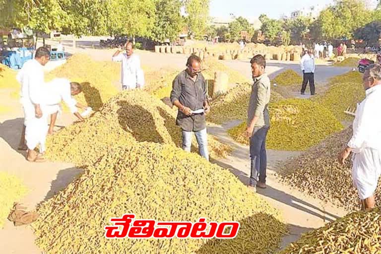 turmeric-crop-purchases-at-market-yard-in-nizamabad