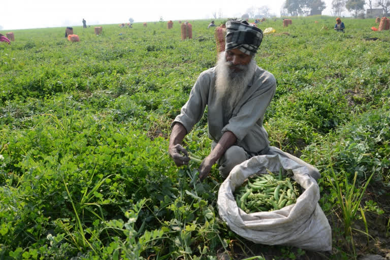 দেশের আত্মনির্ভরতার জন্য কৃষকদের উদ্ধার করতে হবে