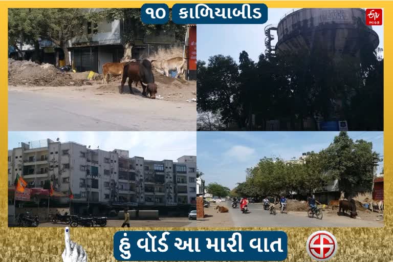 ભાવનગર