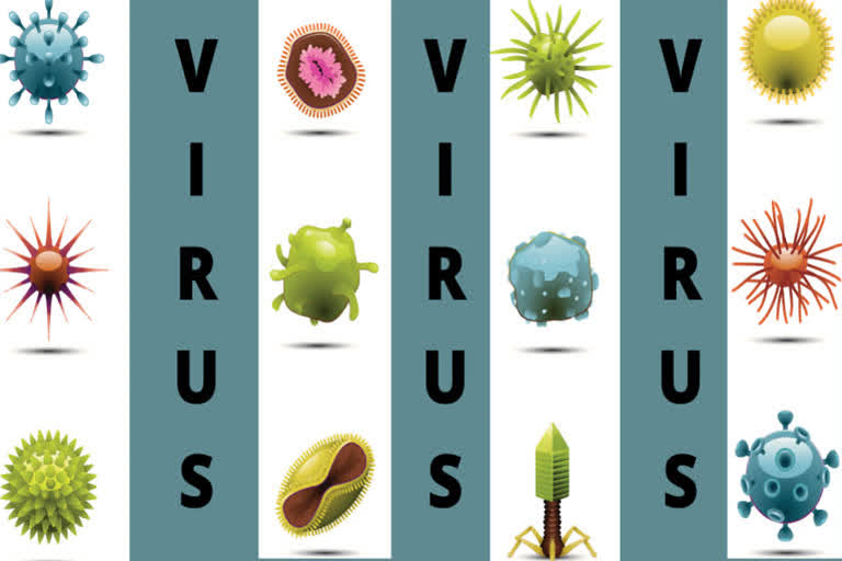 viruses exist as both living and non living used in vaccine production