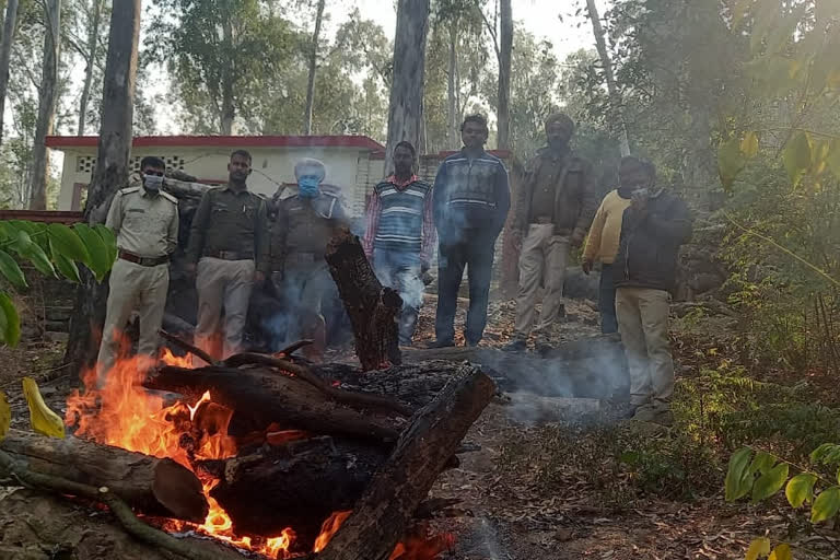 Sambar chopped head found in the forest in the forest in nahan