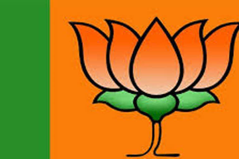 Budget, a reflection of PM's courage: BJP