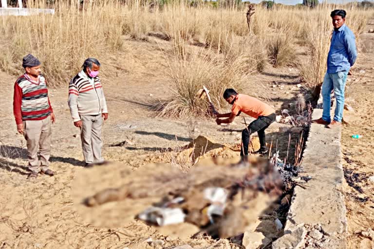 dead monkeys  monkey in chomu  monkeys condition in chomu  jaipur news  rajasthan latest news  चौमूं न्यूज  राजस्थान लेटेस्ट न्यूज  जयपुर न्यूज  बंदरों की मौत  जयपुर में बंदरों की मौत