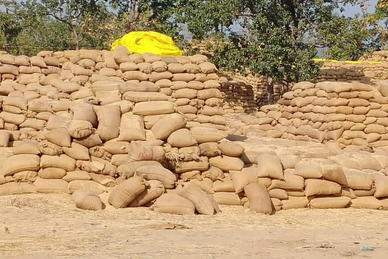 In bijapur transport of paddy is being done from other states transporters