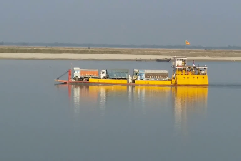 dolphin is not safe in ganga river in sahibganj