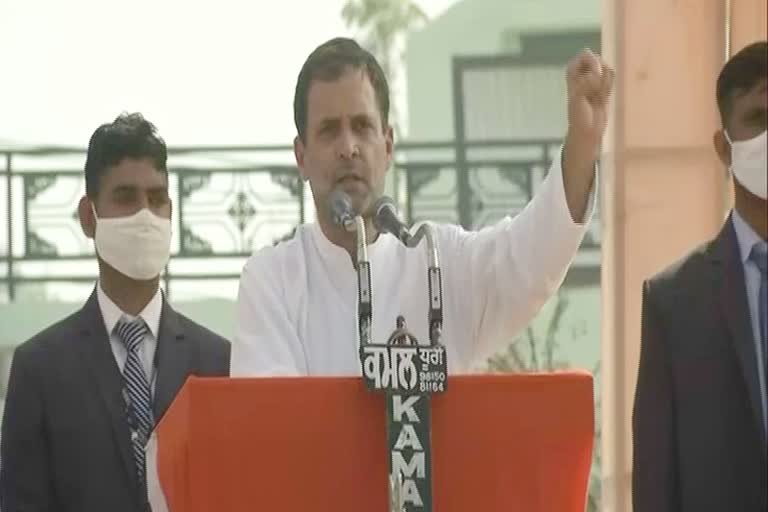 Rahul gandhi in rajasthan, जयपुर न्यूज