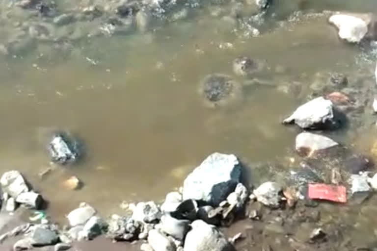 sewer waste in parvati river kullu