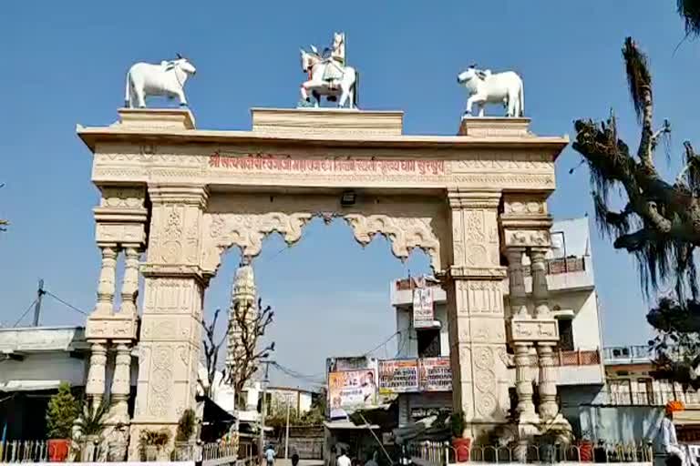 Rahul Gandhi will visit Tejaji Maharaj,  Rahul Gandhi Rajasthan tour