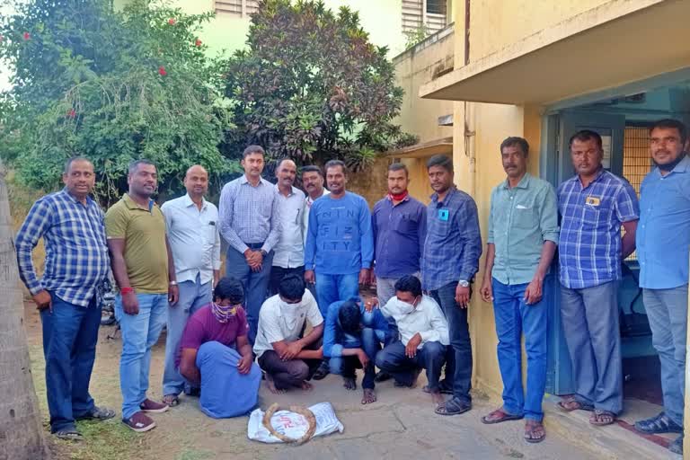 Elephant ivory sale Four accused arrested