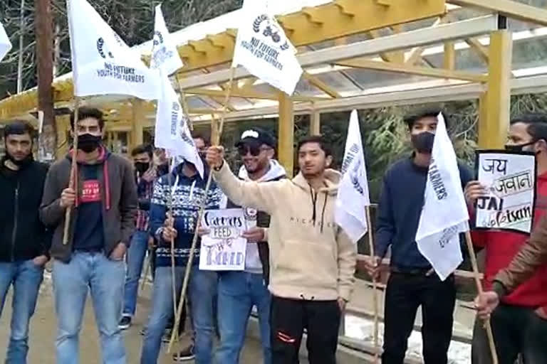 youth of the shimla took to the streets in support of the farmers movement