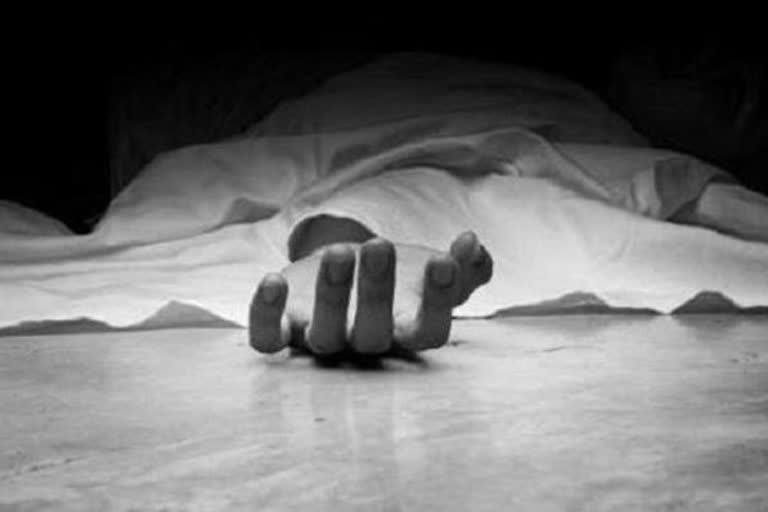 Electricty department employee  died during duty in Shimla