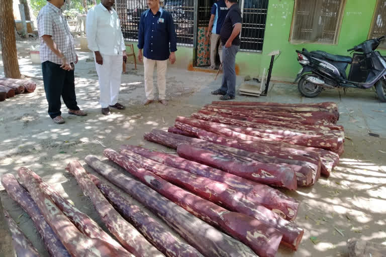 Chittoor district police have arrested three red sandalwood smugglers