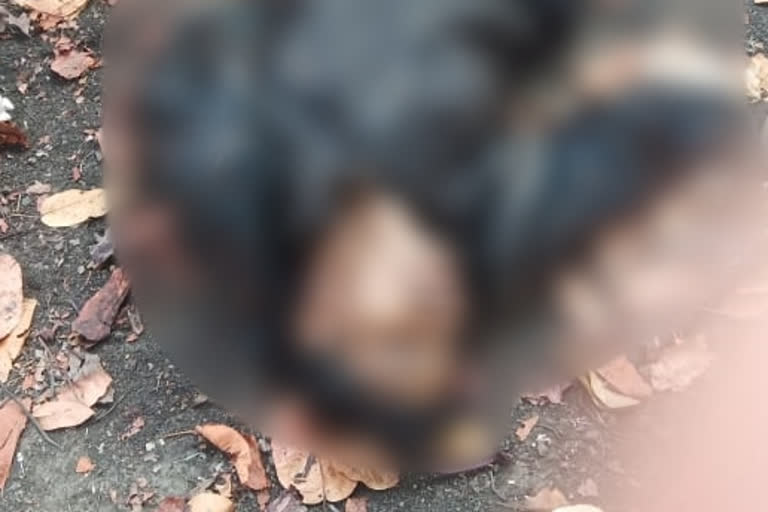 two-naxalites-died-in-encounter-in-mandla