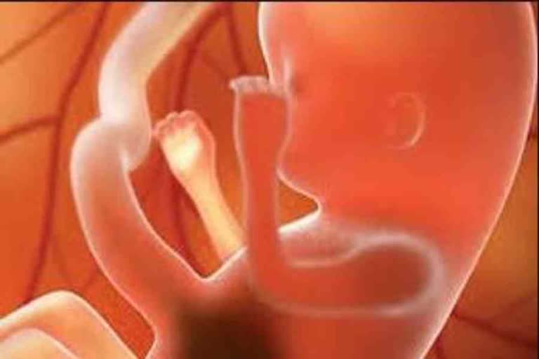 CID start investigation in of case 4-week-old fetus disappearing from womb of a minor