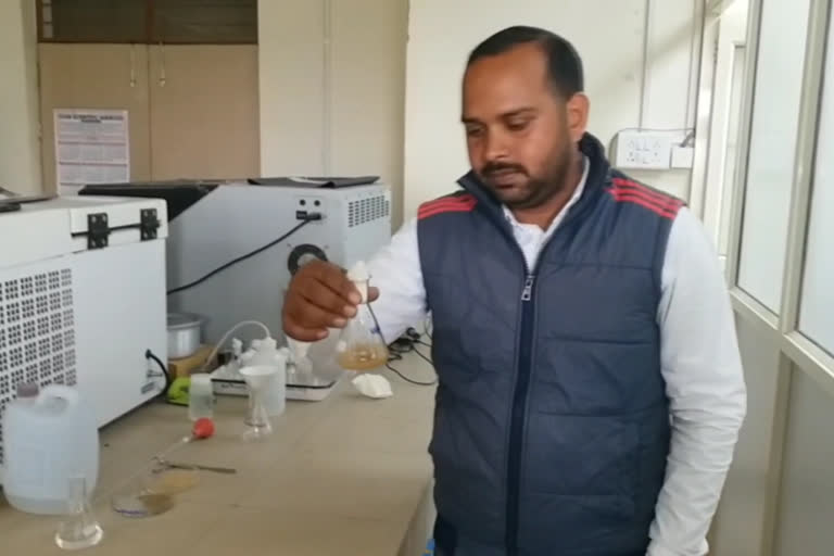 IIT-BHU develops 'adsorbent' from rice husk to clean Ganga