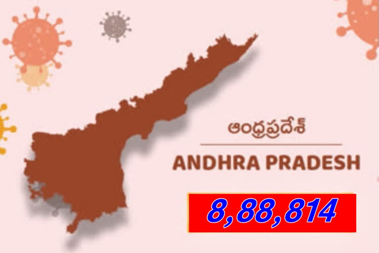 56 new corona cases registered in  andrapradesh