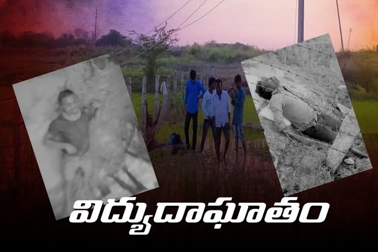 two farmers died with current shock in nagarkarnool