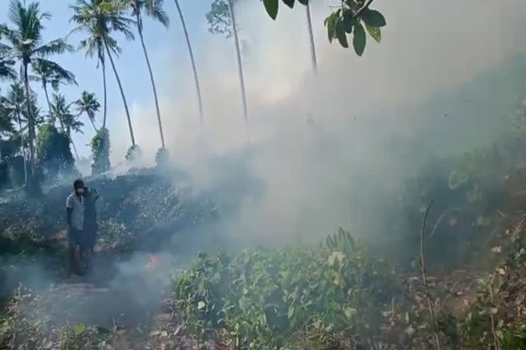 Nedumangad Vattapara  fire broke out in Nedumangad Vattapara  fire broke out in the backyard of a private individual  സ്വകാര്യ വ്യക്തിയുടെ പുരയിടത്തിൽ തീപിടിത്തം