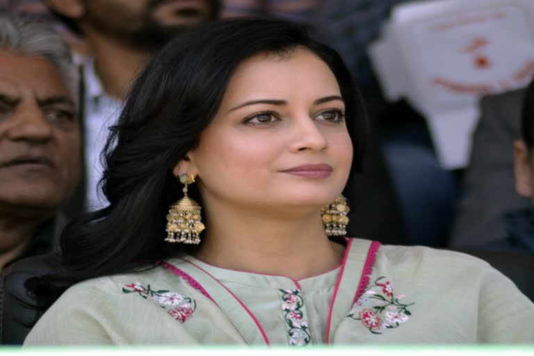 dia mirza to marry