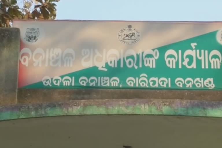 ସମ୍ବର ମାଂସ ଜବତ, ଶିକାରୀ ଗିରଫ