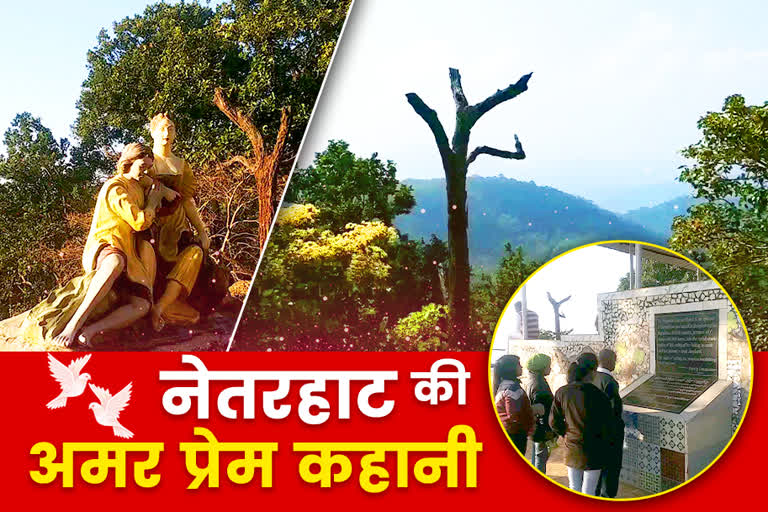 magnolia point is a sign of immortal love in latehar