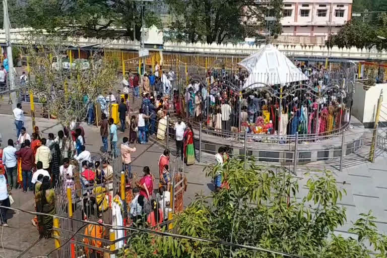 Devotees flock to the Darshan of Medaram Sammakka Saralammala