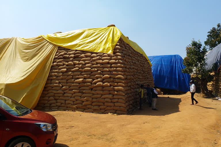 Food department starts action in illegal paddy seizure in jashpur