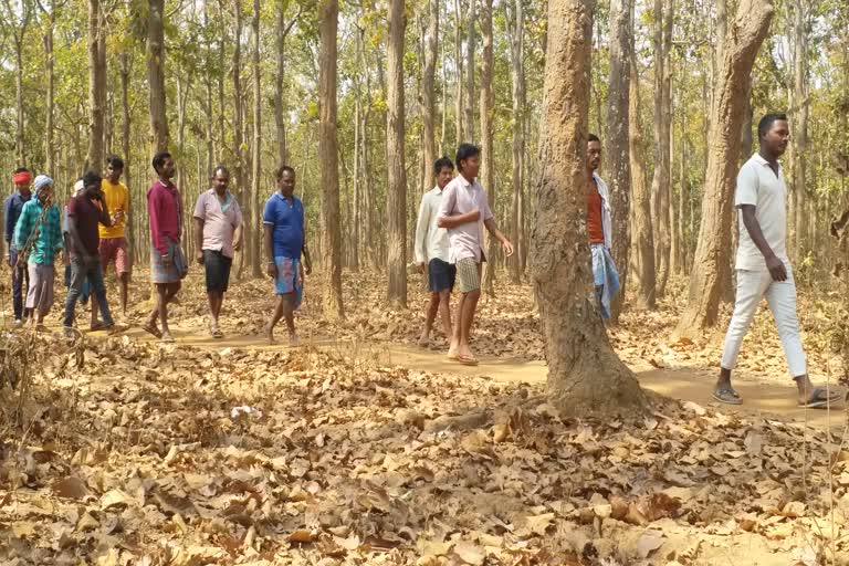 story-of-worshiping-rural-sal-forest-of-bhatiguda-village-of-bastar