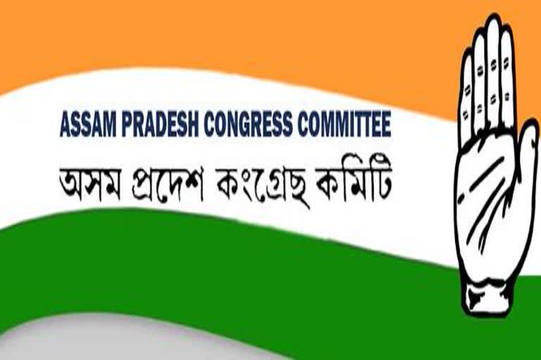 apcc pressmeet